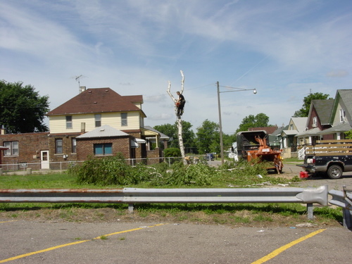 ./Gallery/2011 Bennet Lot Tree Removal/DSC06453.JPG